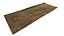 Forest litter ground  scan HD