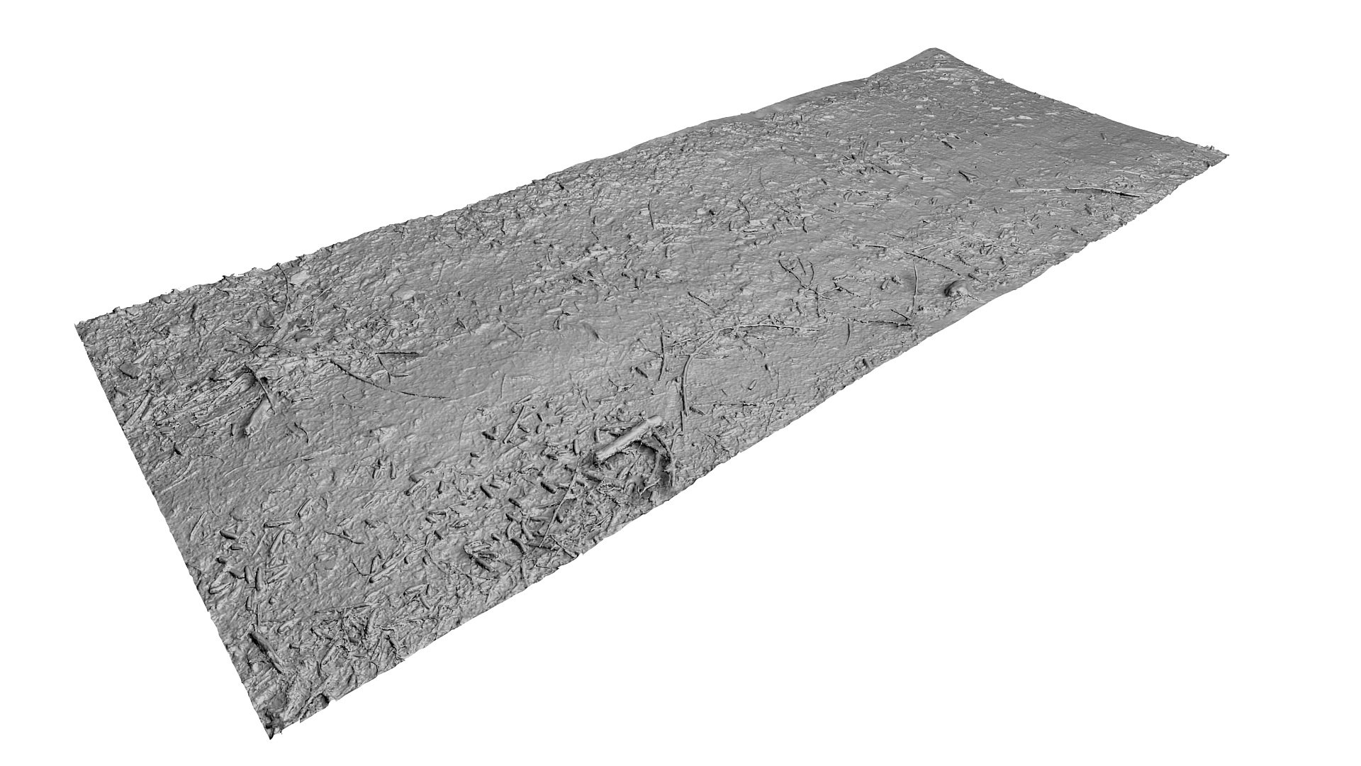 3d litter ground scan model https://p.turbosquid.com/ts-thumb/Fc/TYHEgE/vkotK2sc/4223434/jpg/1427162203/1920x1080/fit_q87/e79e73015dc3eb3b76e3211532cd410eb7e10039/4223434.jpg