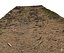 Forest litter ground  scan HD