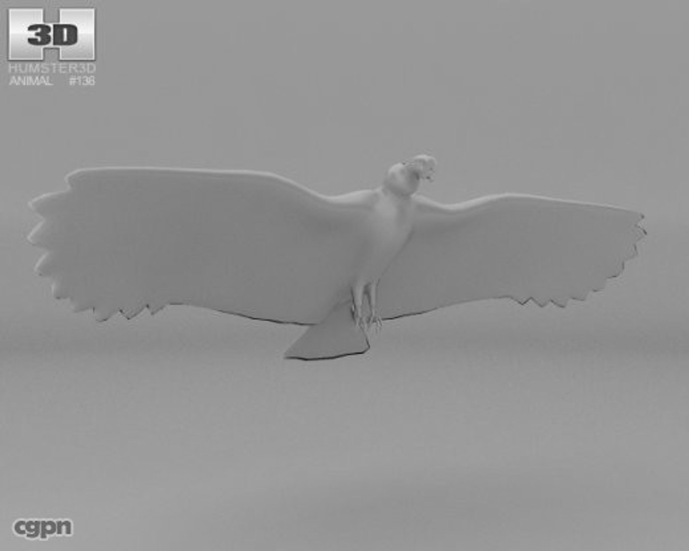 andean condor gryphus 3d model