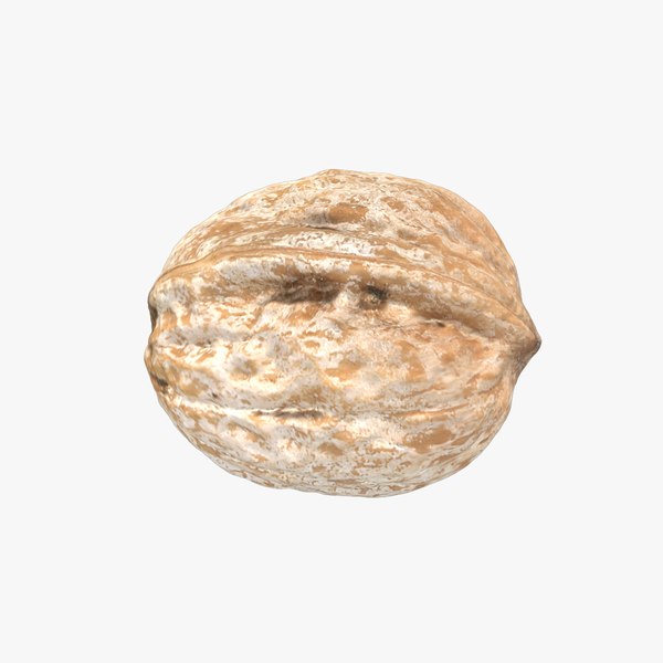 3d walnut model