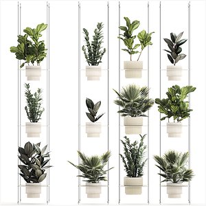 Shelf Hanging Pot Zamioculcas Ficus Fan Palm 1429 3D