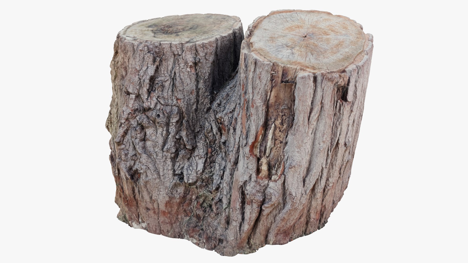 3D model Tree Stump V1 https://p.turbosquid.com/ts-thumb/Fc/p1E30u/1X/ts1_004_013/png/1702011194/1920x1080/fit_q87/e79f2063778fa8ef1a56a7aba70b3a7ce79dd0e0/ts1_004_013.jpg