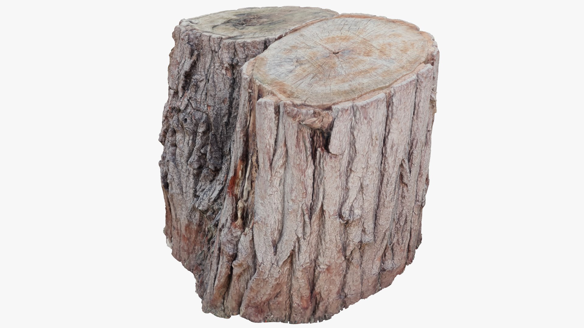 3D model Tree Stump V1 https://p.turbosquid.com/ts-thumb/Fc/p1E30u/BA/ts1_004_011/png/1702011188/1920x1080/fit_q87/cddf529c13e734c422ae763b5a68c33e092fad1a/ts1_004_011.jpg