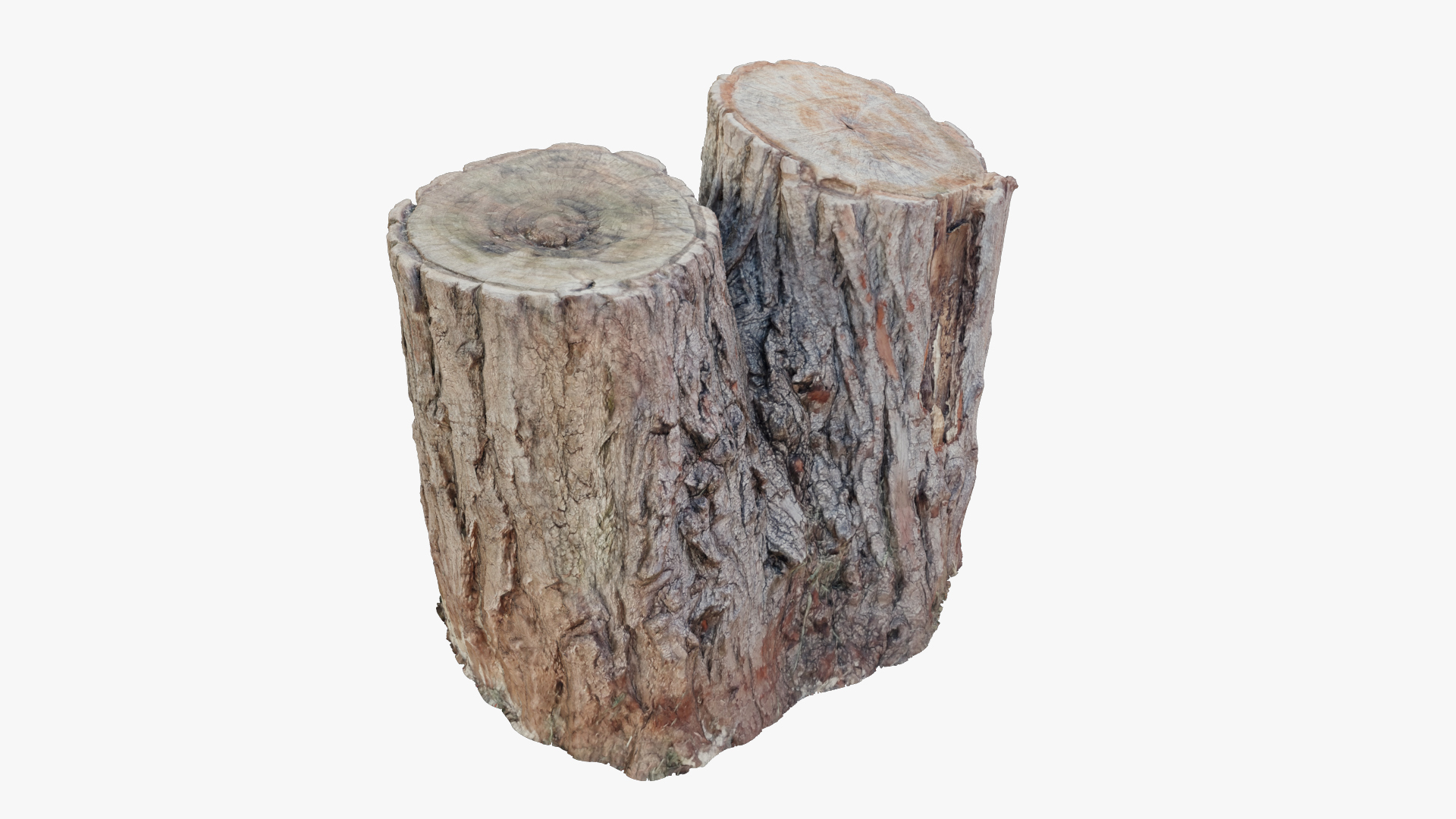 3D model Tree Stump V1 https://p.turbosquid.com/ts-thumb/Fc/p1E30u/TD/ts1/jpg/1702011204/1920x1080/turn_fit_q99/c9939d7819267062d5e85877f14baf47b504c5a8/ts1-1.jpg