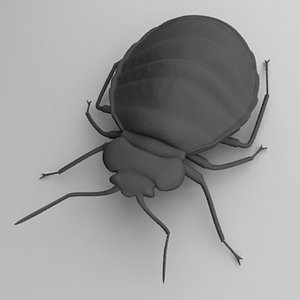 bedbug.obj