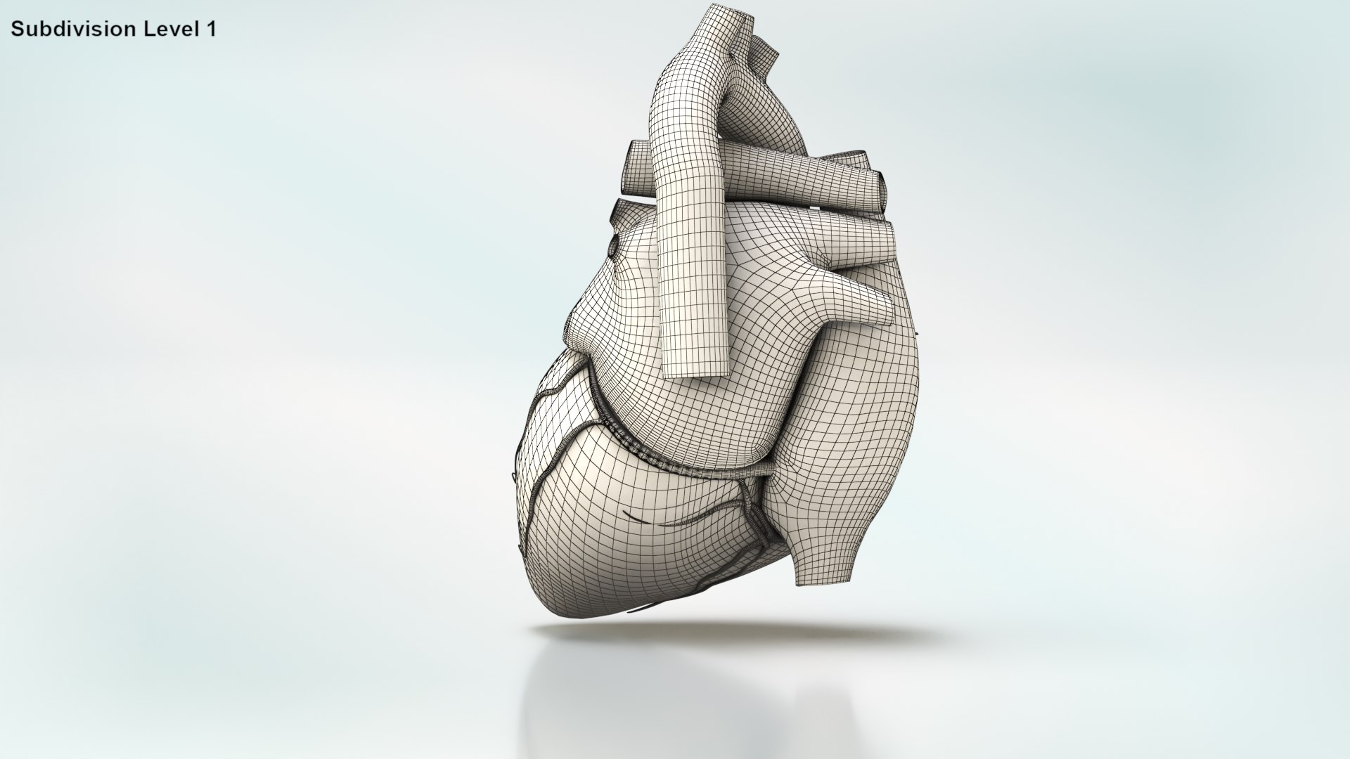 Trinkhalm in Herzform 3D-Modell - TurboSquid 1799379