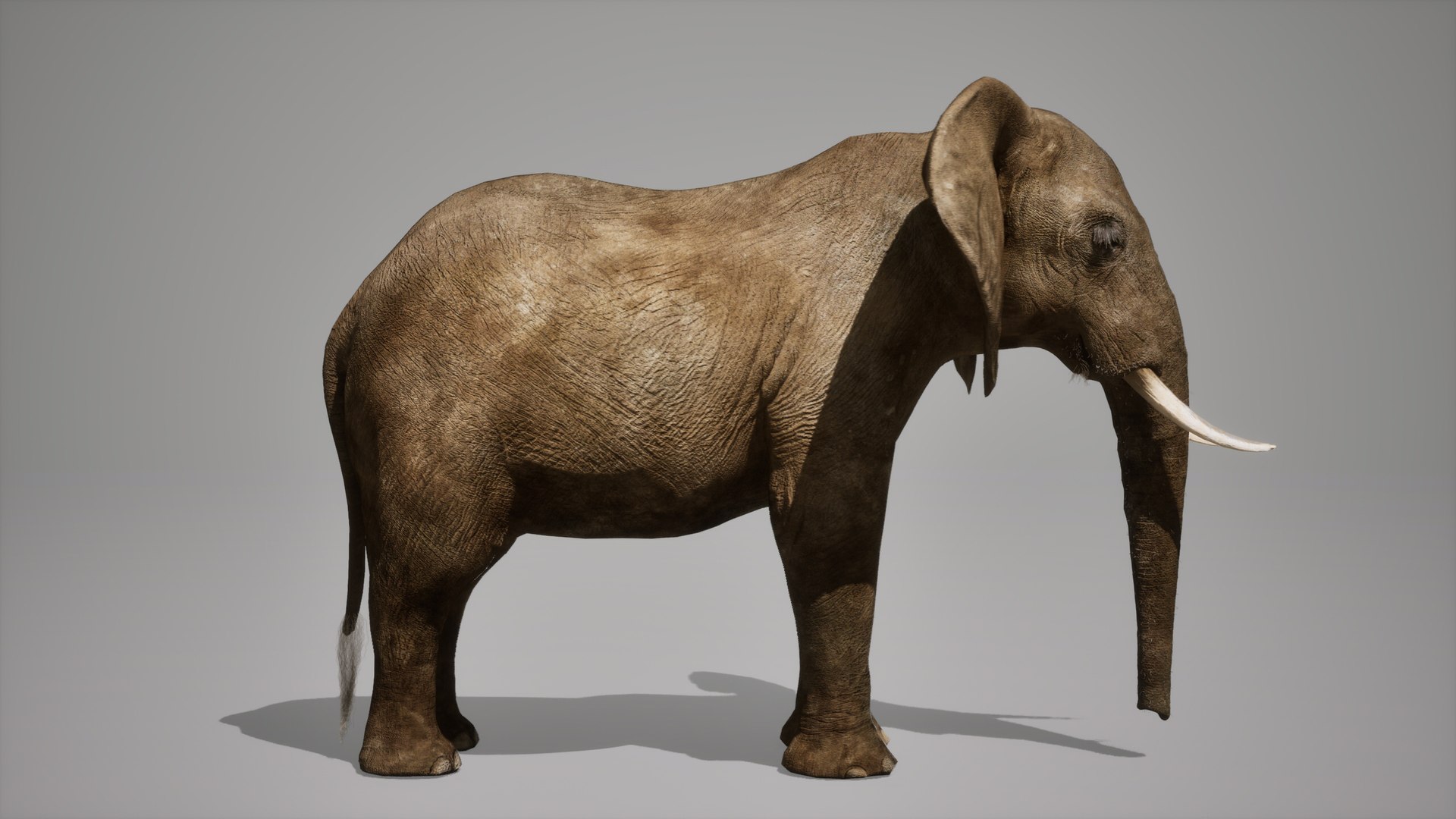 African Elephant RIG UNREAL Project 3D - TurboSquid 2293152