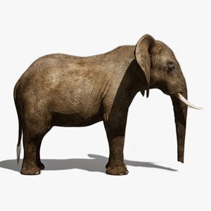 African Elephant RIG UNREAL project 3D