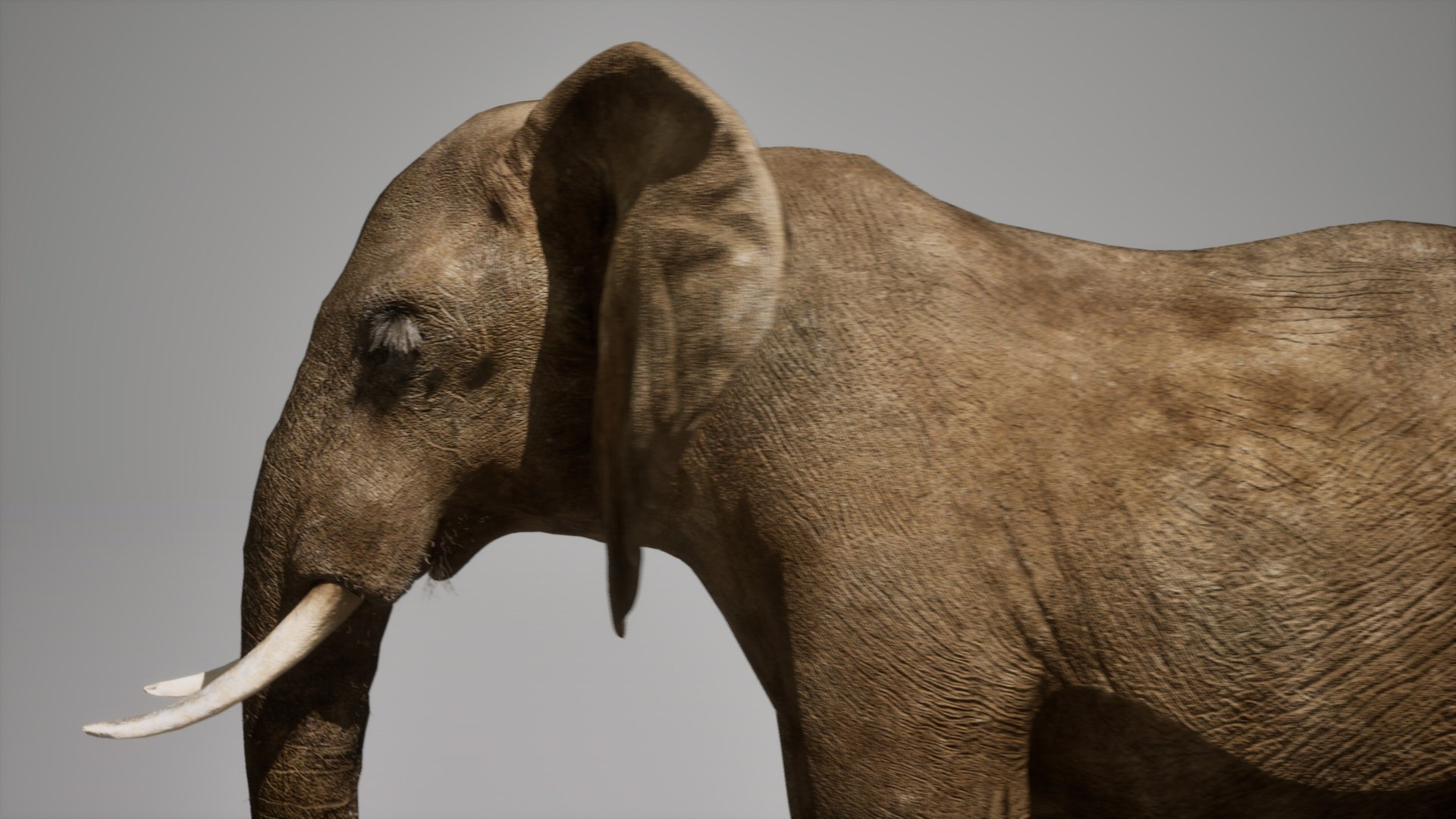 African Elephant RIG UNREAL Project 3D - TurboSquid 2293152