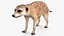 リグドライオンキング動物コレクション