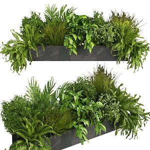 3D Collection plant vol 419 - Indoor - balcony - fern - grass - 3dmax - cinema 4d model