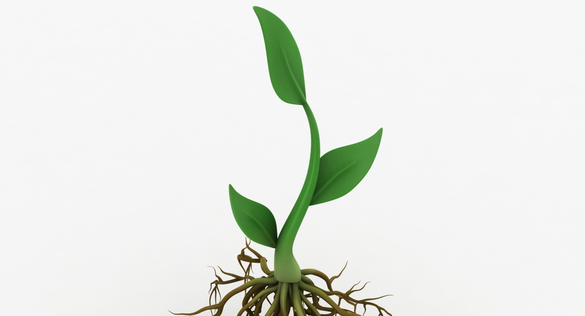 Plant roots model - TurboSquid 1361626