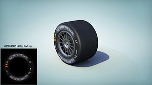 race tire max