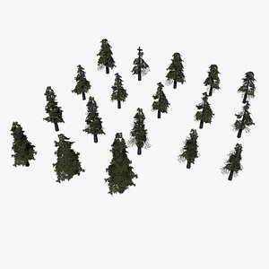 pine tree pinetree 3D model
