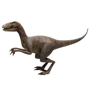 3D Velociraptor 3d Model With Texture
