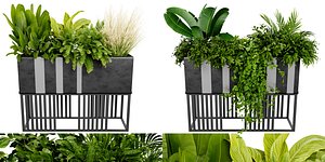 Collection plant vol 511 - blender model 3D
