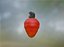 Modelo 3D de la fruta tropical Caju