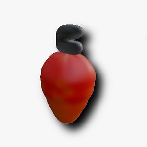 3D Tropical Fruit Caju 3D Model