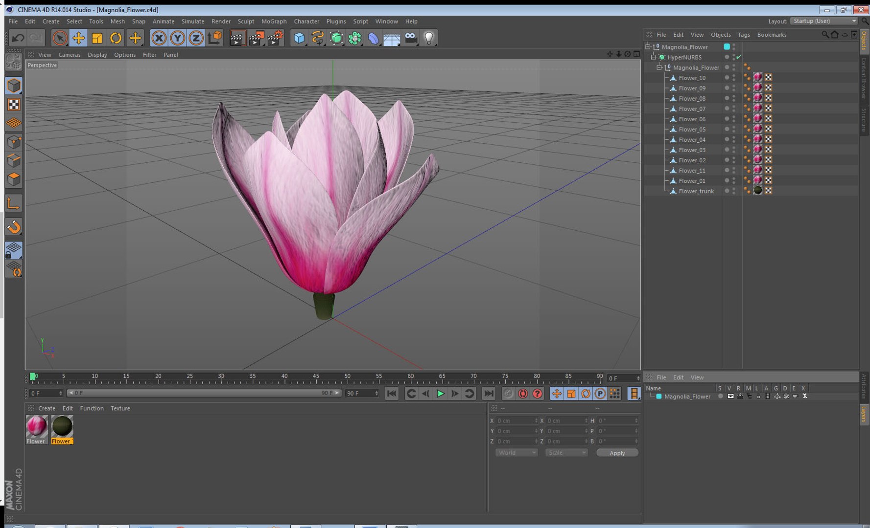magnolia flower plant 3D model https://p.turbosquid.com/ts-thumb/Fe/HuJSW3/JbSpW2IF/magnoliaflowermb3dmodel017/jpg/1558775115/1920x1080/fit_q87/0be3fc39a9b041a61aa0fa778f701ad676143316/magnoliaflowermb3dmodel017.jpg