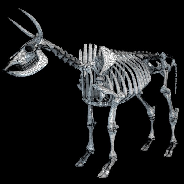 Cow Skeleton 3d Max