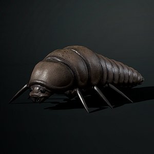Larva insect1