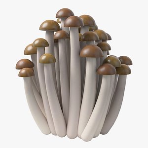 3D Cartoon Mushrooms 06 model
