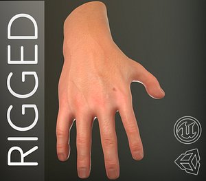 male hand rigged 3D model