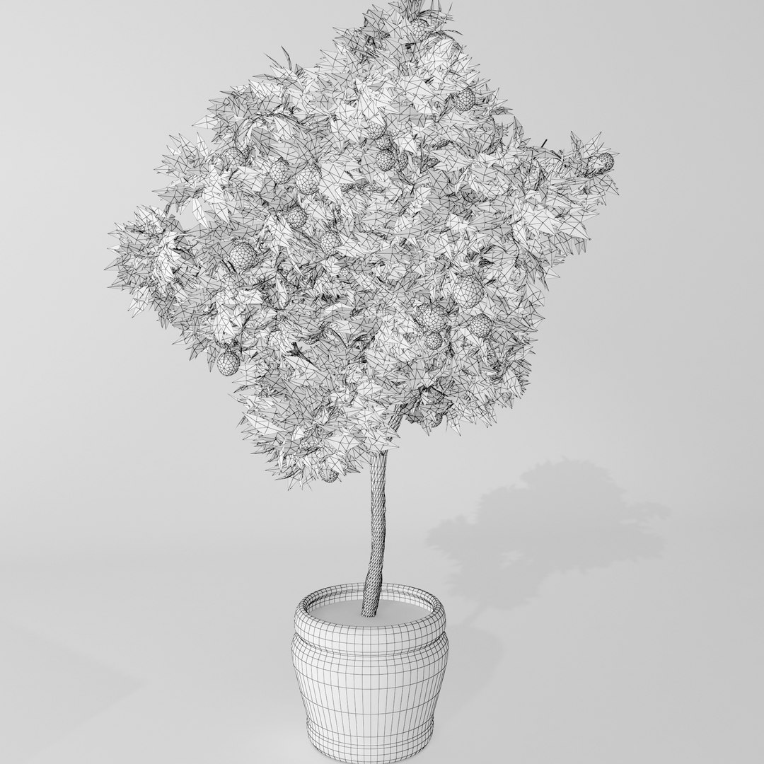 3d Model Orange Tree
