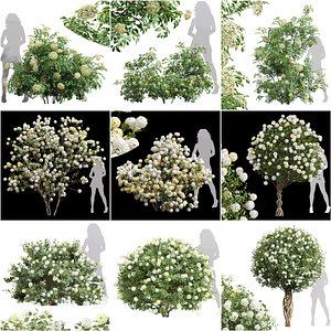 3D model 9Different SETS of Bush Tree Set Vol 45