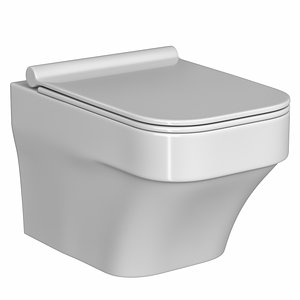 Wall Hung Water closet toilet