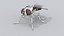 Roboter fliegen
