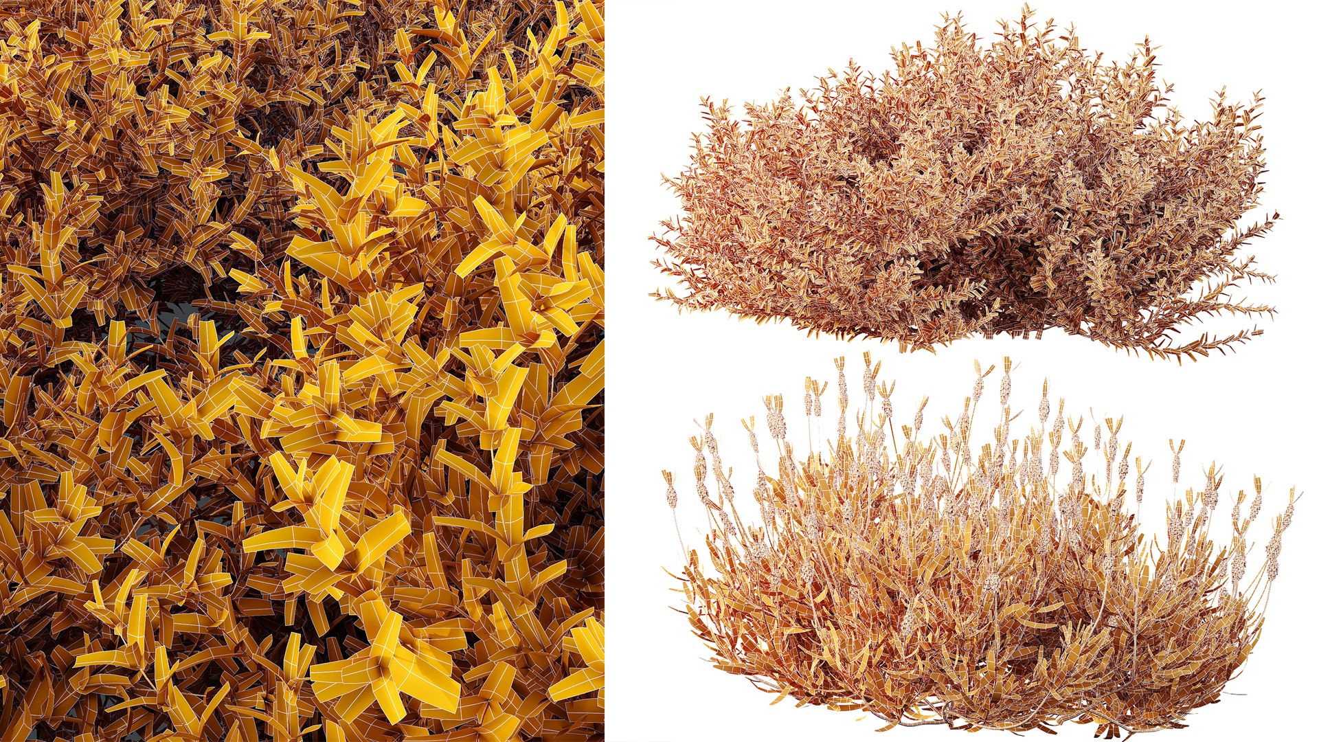 3D model AV spring bushes Lavandula Pedunculata Atlantica Stoechas Subpedunculata and Fruticosa Coastal Rosem https://p.turbosquid.com/ts-thumb/Fe/y17nmC/NT/07/png/1752652930/1920x1080/fit_q87/bc5ace13f40153d9a245d948f649b37c4780d46e/07.jpg