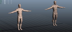 Generic Male Character
