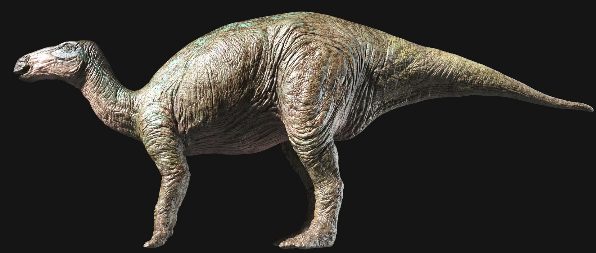 3D Dinosaur Iguanodon Dino Model - TurboSquid 1429299