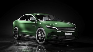 3D Byd han 2024 3d model