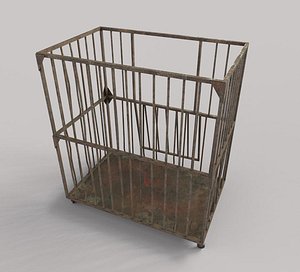 Aslyum Cage Model