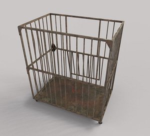 Aslyum Cage Model