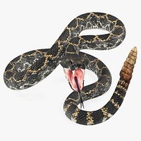 Dark Rattlesnake Attack Pose 3D Model