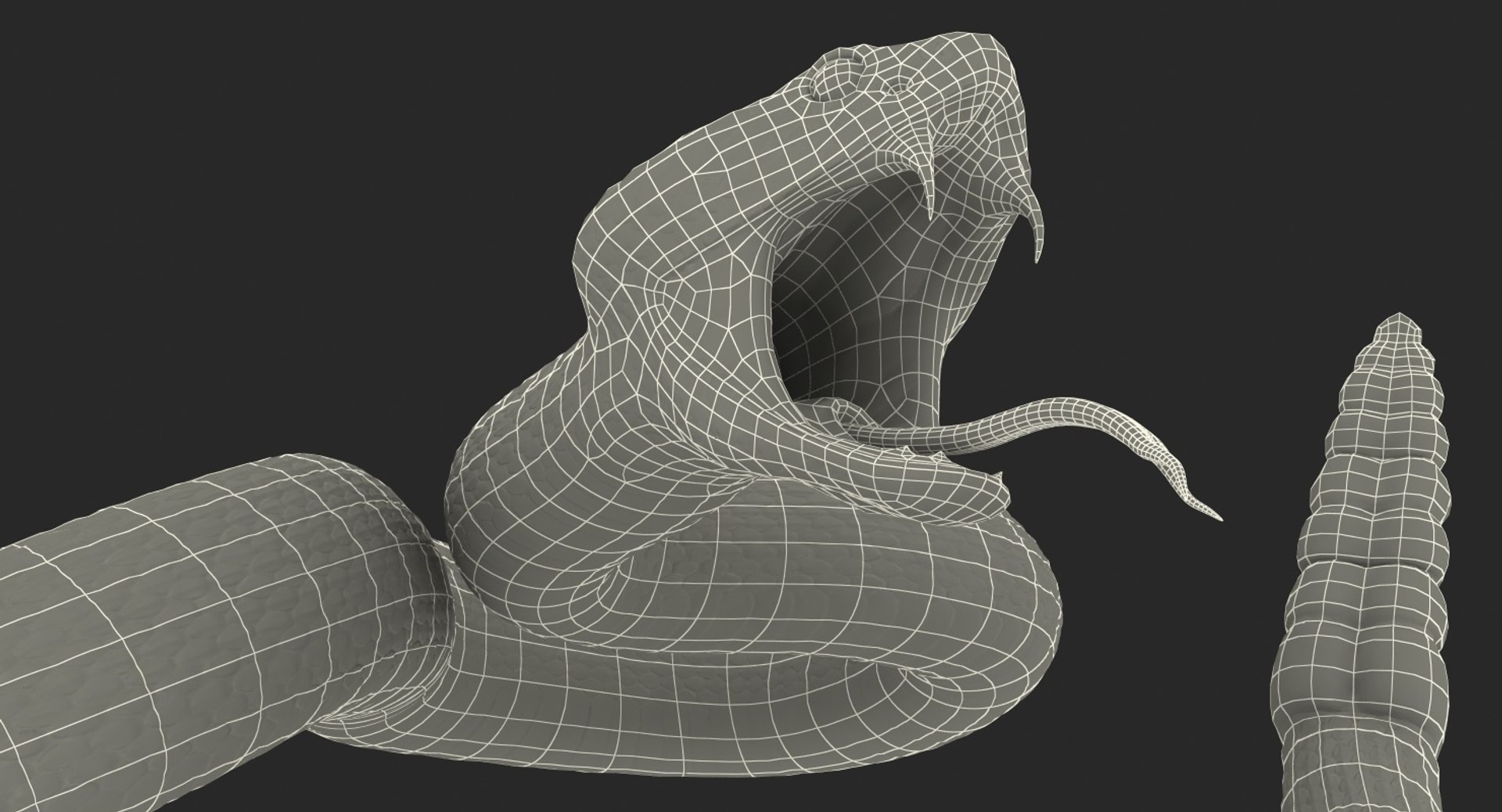 3D Model Dark Rattlesnake Attack Pose - TurboSquid 1398397