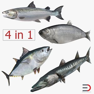 Fishes Collection 2