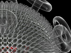 3d hiv virus model