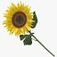 Summer Garden Collection- 33製品