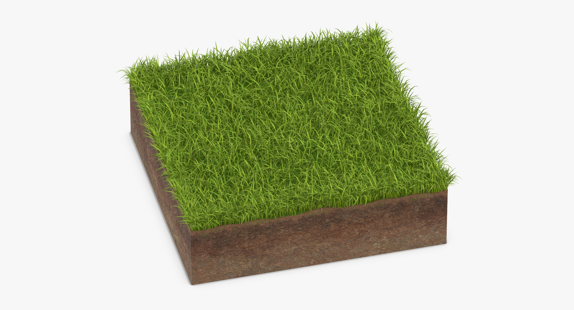 summer garden 33 products model https://p.turbosquid.com/ts-thumb/Fg/4p3nHJ/MPBQfFLv/0000/jpg/1569859969/1920x1080/turn_fit_q99/e90fc3c58847cece838708a87a12d4cce3248917/0000-1.jpg
