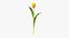 Summer Garden Collection- 33製品