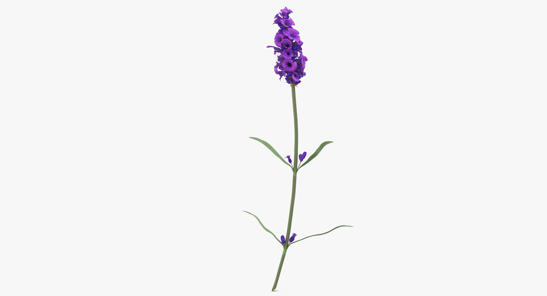 summer garden 33 products model https://p.turbosquid.com/ts-thumb/Fg/4p3nHJ/TChgtzVn/0000/jpg/1566207096/1920x1080/turn_fit_q99/b180abaf4e74ba3510d4da9ce1f528c45bed4a20/0000-1.jpg