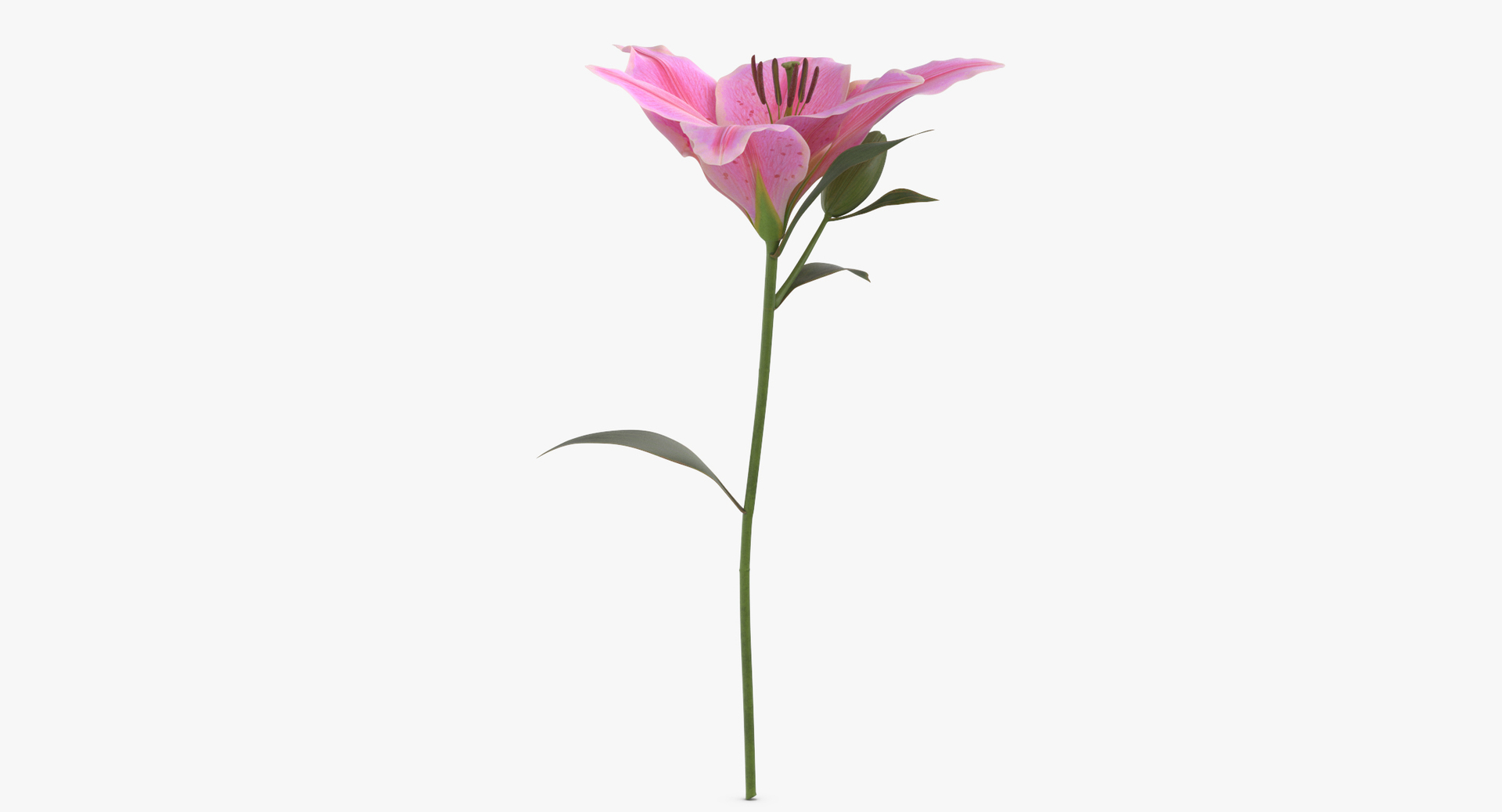 summer garden 33 products model https://p.turbosquid.com/ts-thumb/Fg/4p3nHJ/WSN6SxEN/0000/jpg/1564585688/1920x1080/turn_fit_q99/da8dd53fd40d234a5fbd420cd2a006e541a85014/0000-1.jpg