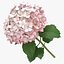 Summer Garden Collection- 33製品