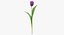 Summer Garden Collection- 33製品