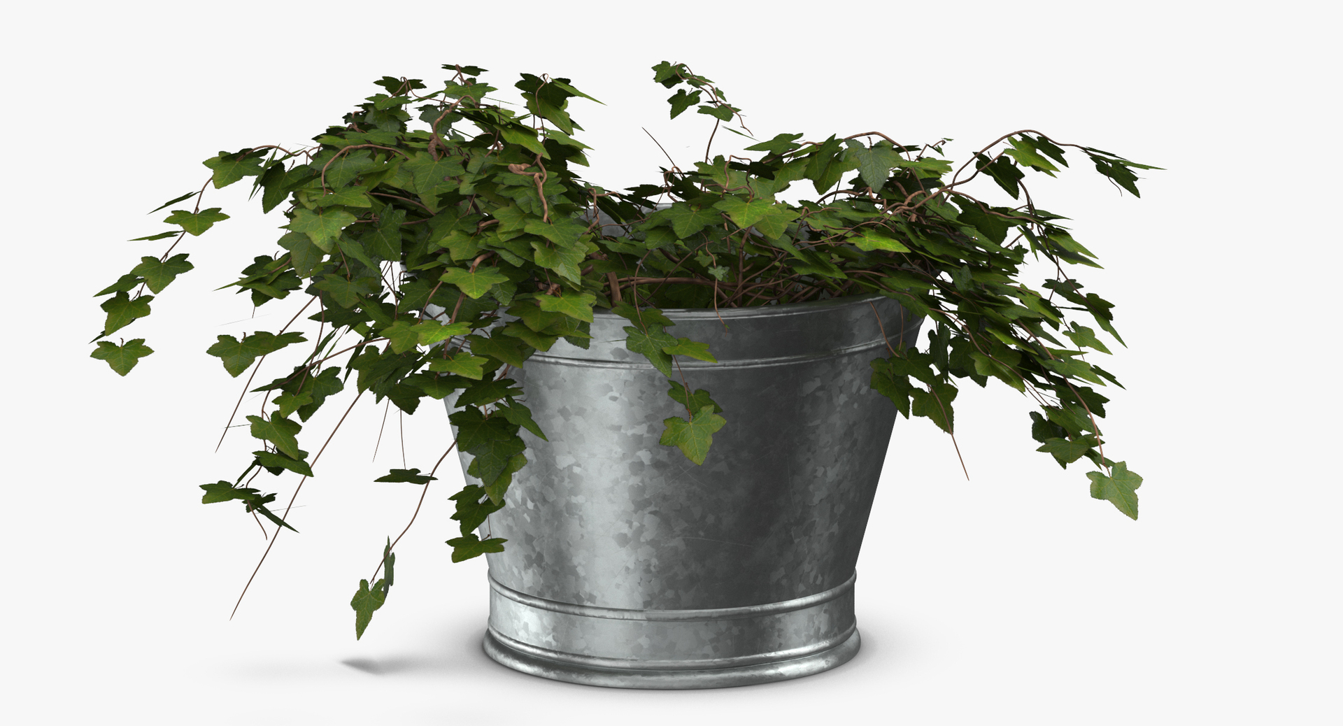summer garden 33 products model https://p.turbosquid.com/ts-thumb/Fg/4p3nHJ/jBXoms1K/0000/jpg/1569860778/1920x1080/turn_fit_q99/53c6bf1da6a4dc8a40ca8e0306362e60e5292e74/0000-1.jpg